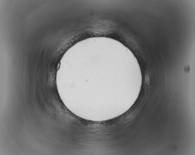 X0000112111300200909151215