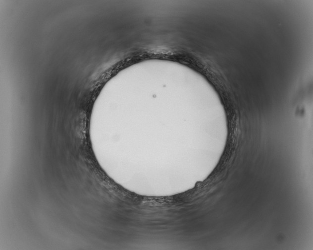 X0000112111301200909151215