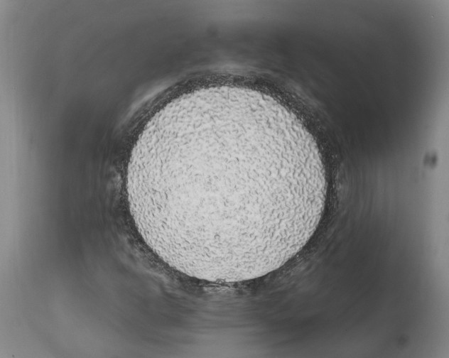 X0000112111302200909151215