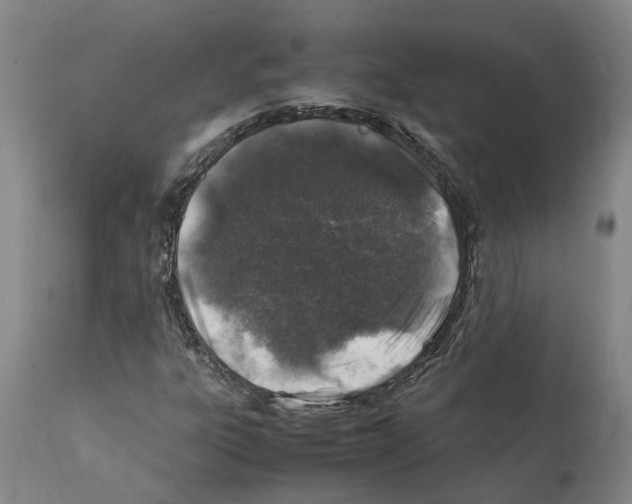 X0000112111303200909151215
