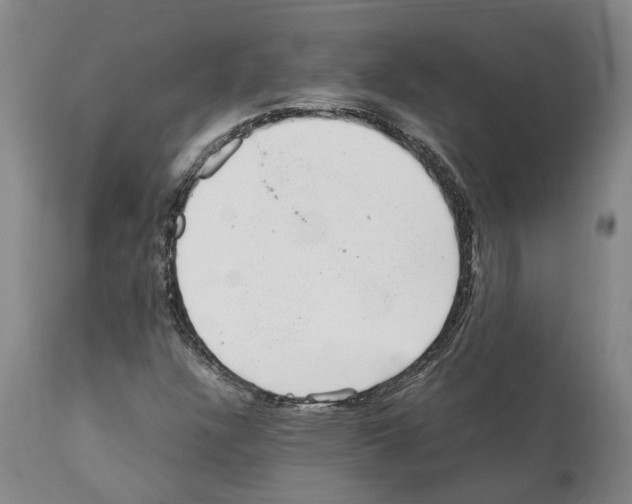 X0000112111304200909151215