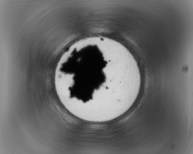 X0000112111305200909151215