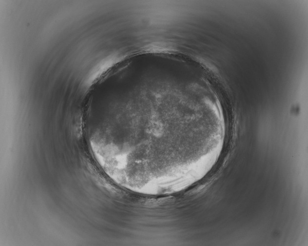 X0000112111306200909151215