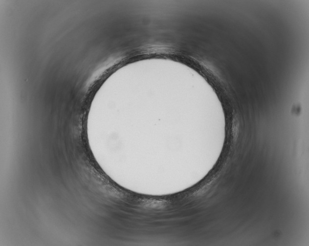 X0000112111309200909151215