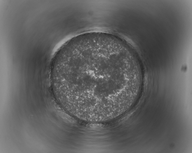 X0000112111310200909151215