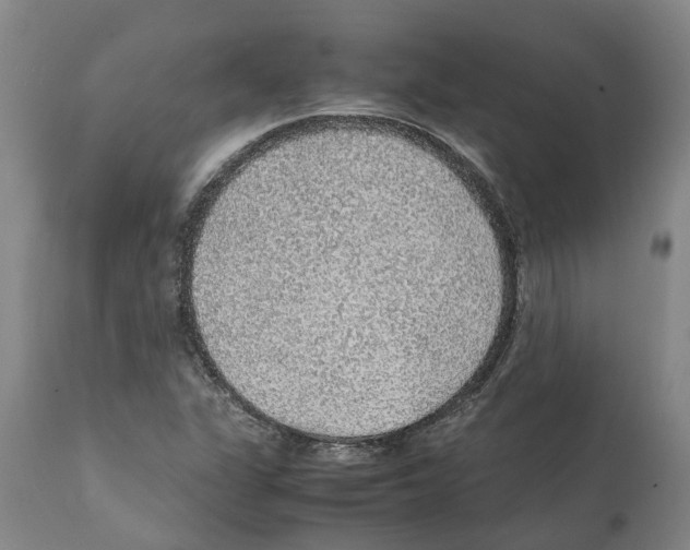 X0000112111311200909151215