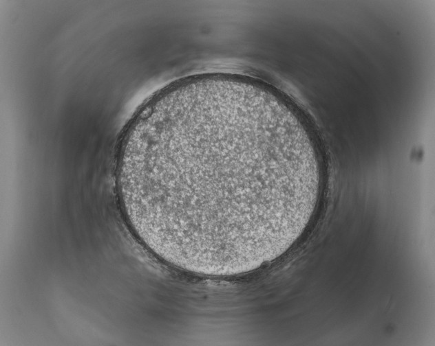 X0000112111312200909151215