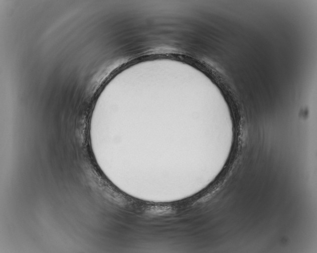 X0000112111313200909151215