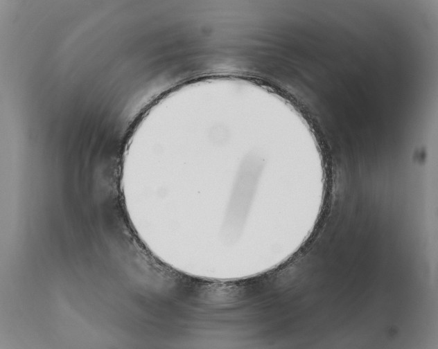 X0000112111314200909151215