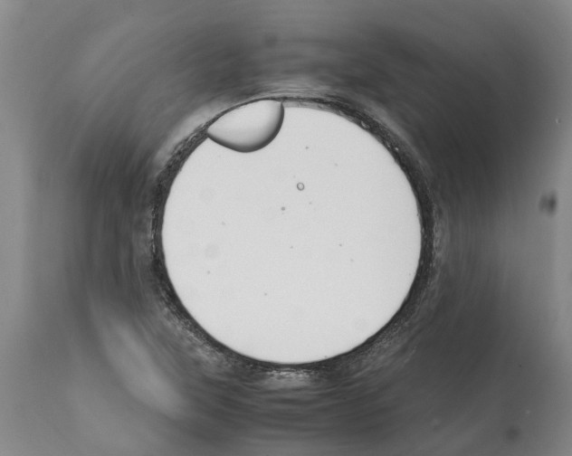 X0000112111315200909151215
