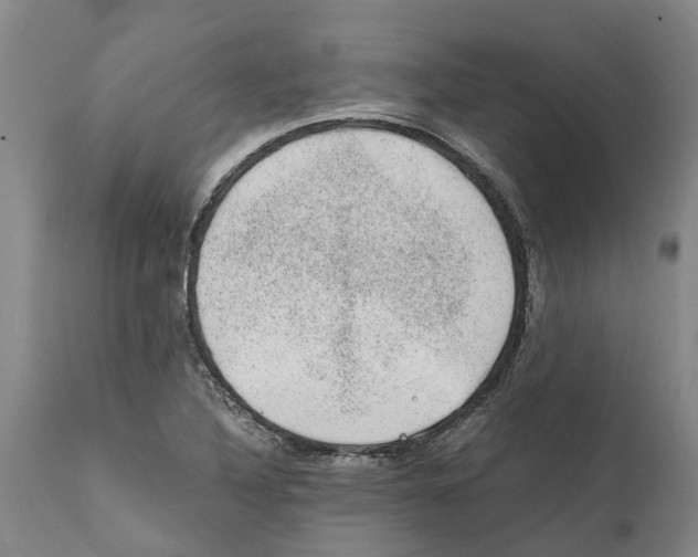 X0000112111316200909151215