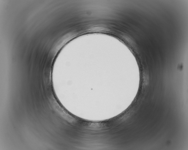 X0000112111322200909151215