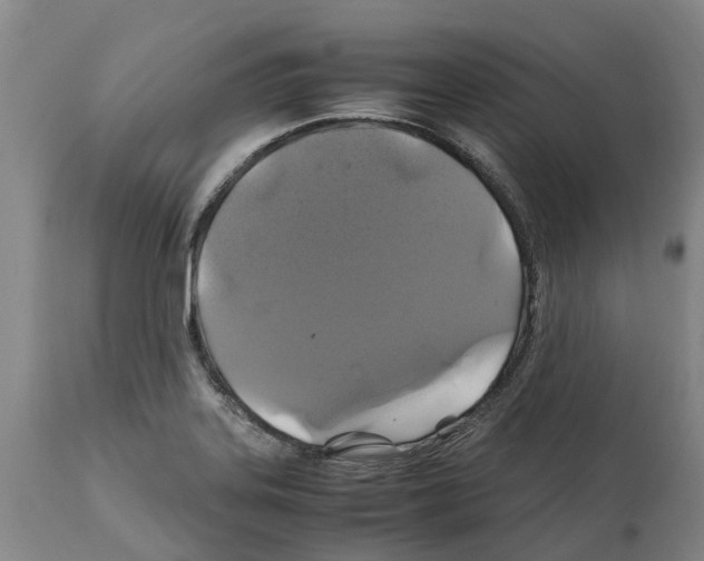 X0000112111323200909151215