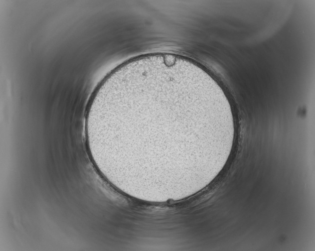 X0000112111324200909151215