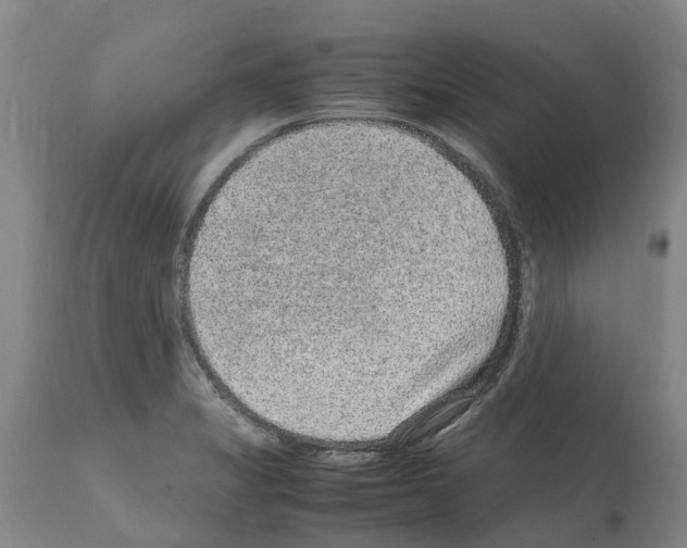 X0000112111325200909151215