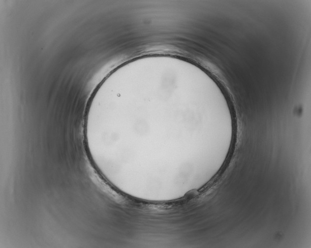 X0000112111330200909151215