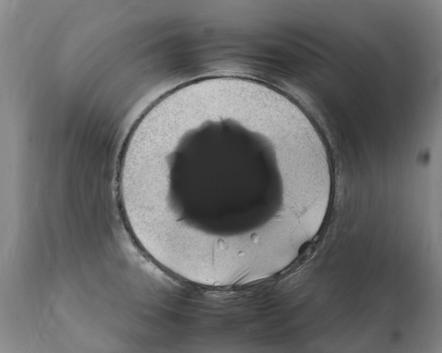 X0000112111331200909151215