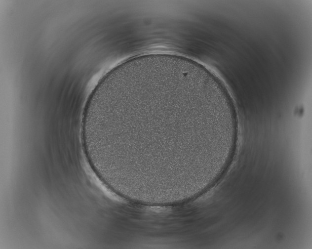 X0000112111333200909151215