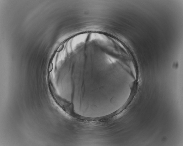 X0000112111334200909151215
