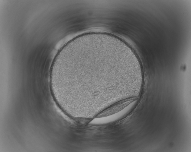 X0000112111335200909151215