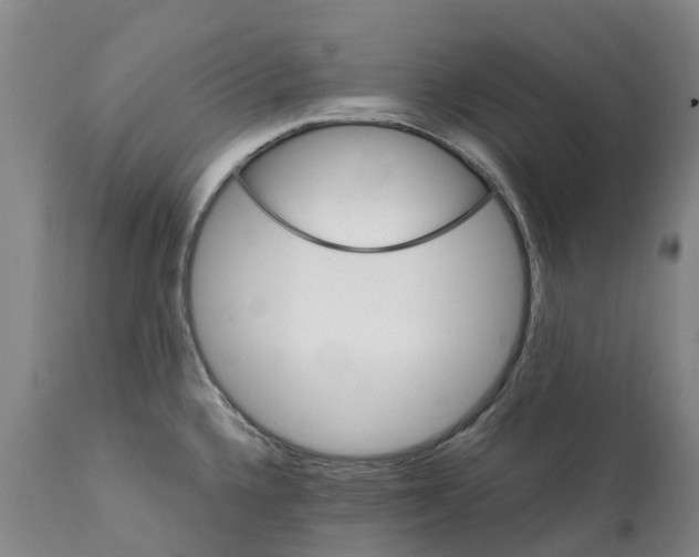 X0000112111336200909151215