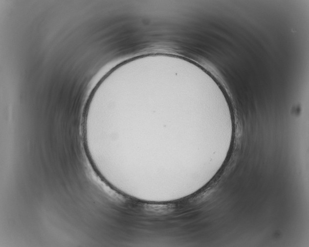 X0000112111339200909151215