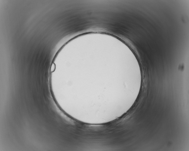 X0000112111343200909151215