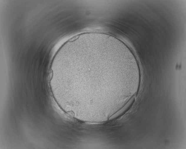 X0000112111344200909151215