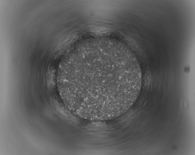 X0000112111346200909151215