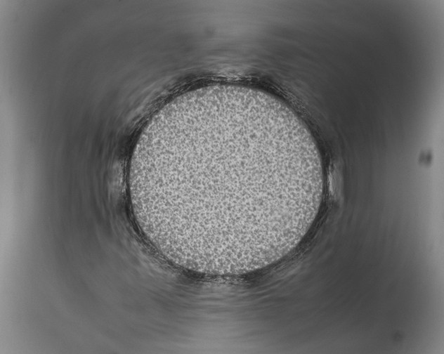 X0000112111347200909151215