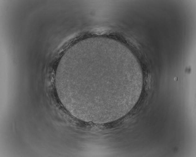 X0000112111349200909151215
