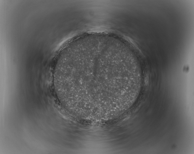 X0000112111350200909151215