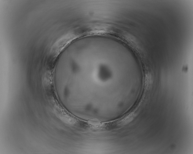X0000112111353200909151215