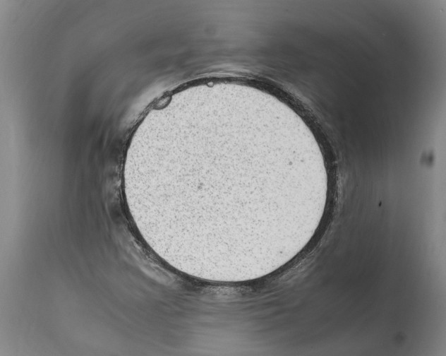 X0000112111355200909151215