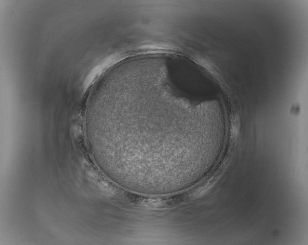 X0000112111357200909151215