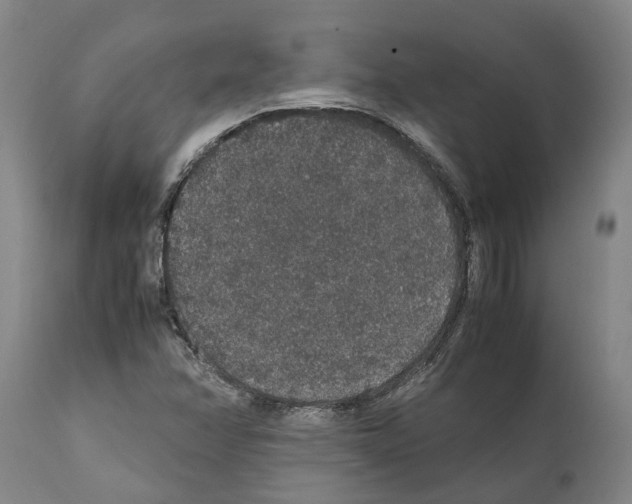 X0000112111358200909151215