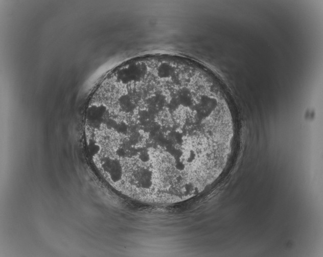 X0000112111359200909151215