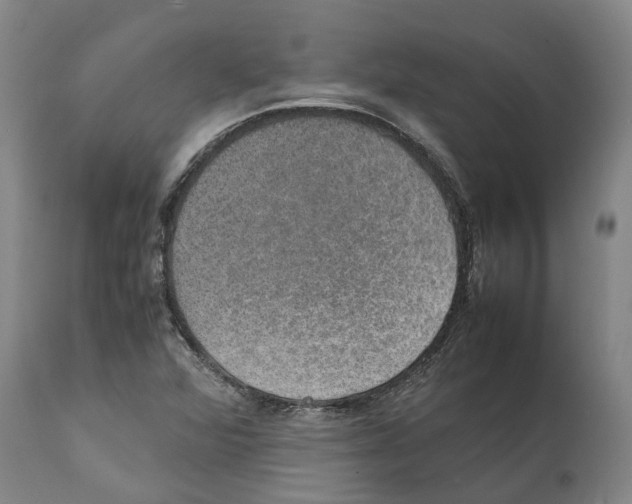 X0000112111360200909151215