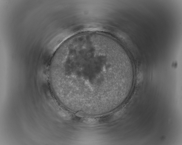 X0000112111361200909151215