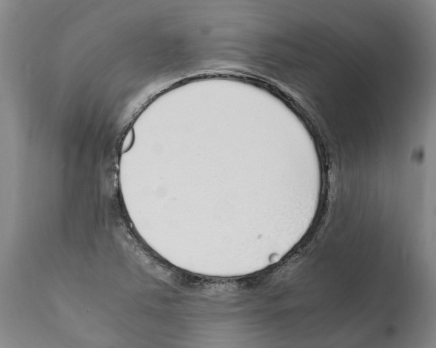 X0000112111363200909151215
