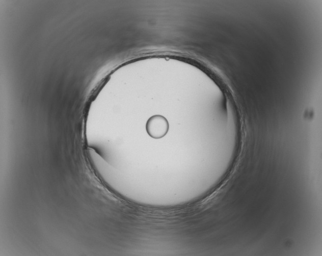 X0000112111365200909151215