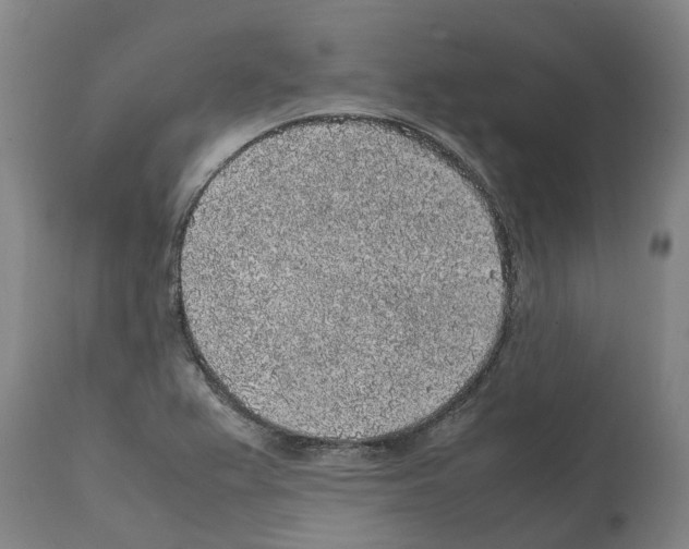 X0000112111367200909151215