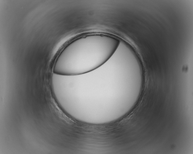 X0000112111368200909151215
