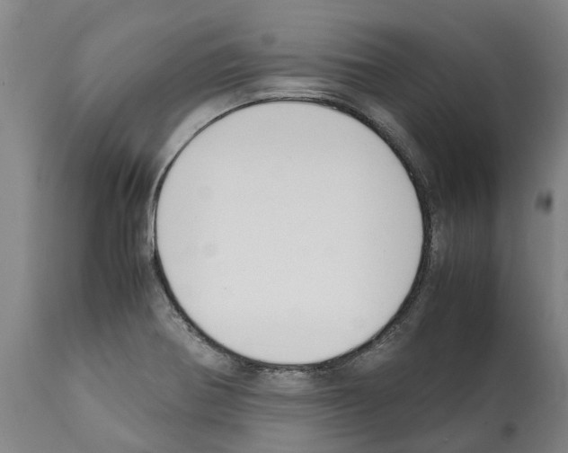 X0000112111370200909151214