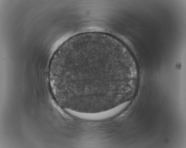 X0000112111373200909151214