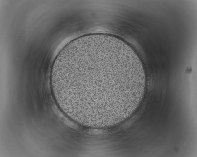 X0000112111374200909151214