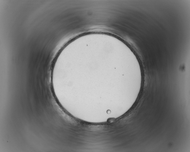 X0000112111376200909151214