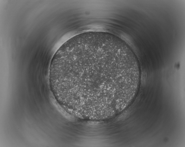 X0000112111378200909151214