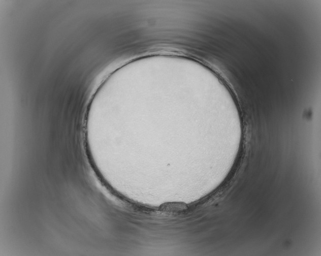 X0000112111379200909151214