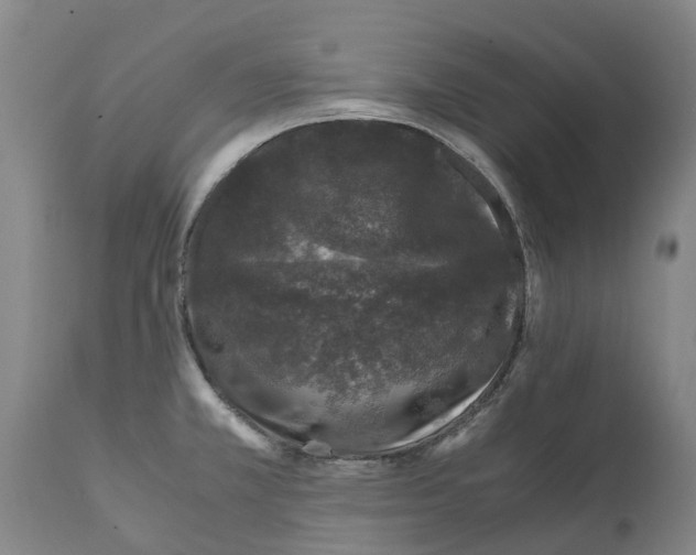 X0000112111381200909151214